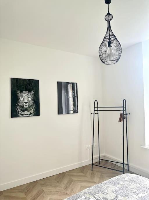 L'Amazonia : Face A La Basilique Parking Gratuit Apartment Boulogne-sur-Mer Exterior photo